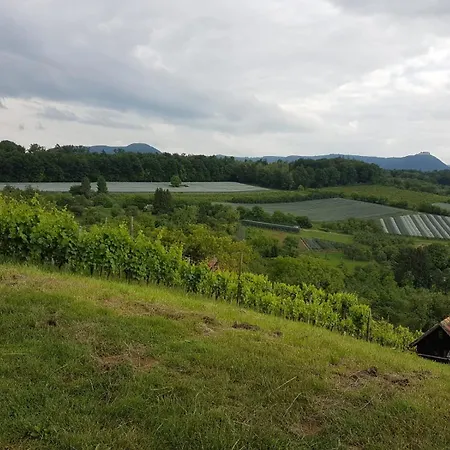 Burgblick Im Neuffener Tal Mit Sauna Und Wallbox * Frickenhausen (Baden-Wurttemberg)