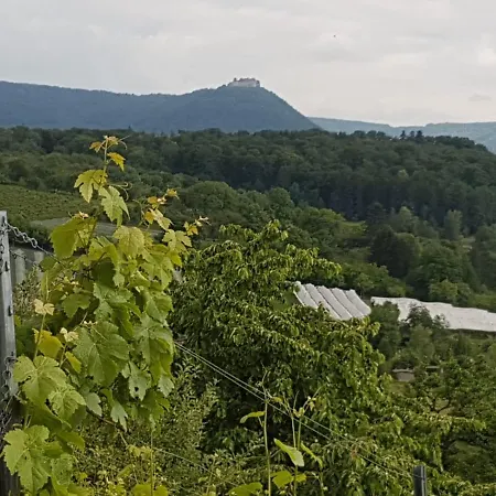 Burgblick Im Neuffener Tal Mit Sauna Und Wallbox Apartment Frickenhausen (Baden-Wurttemberg)