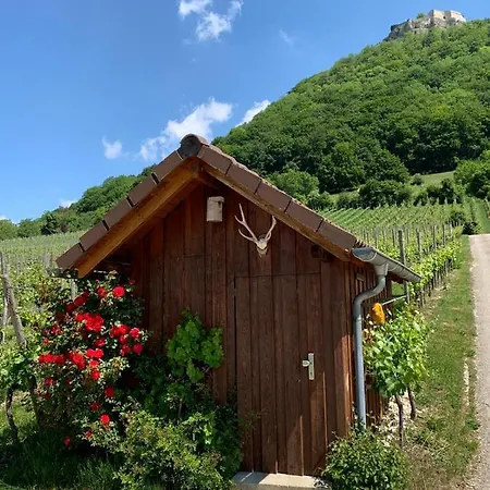 Burgblick Im Neuffener Tal Mit Sauna Und Wallbox Frickenhausen (Baden-Wurttemberg)