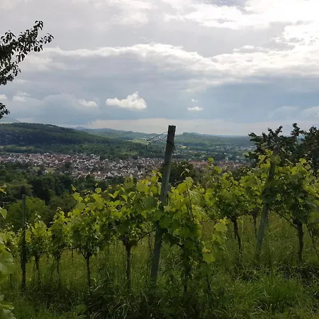 Burgblick Im Neuffener Tal Mit Sauna Und Wallbox Apartmán